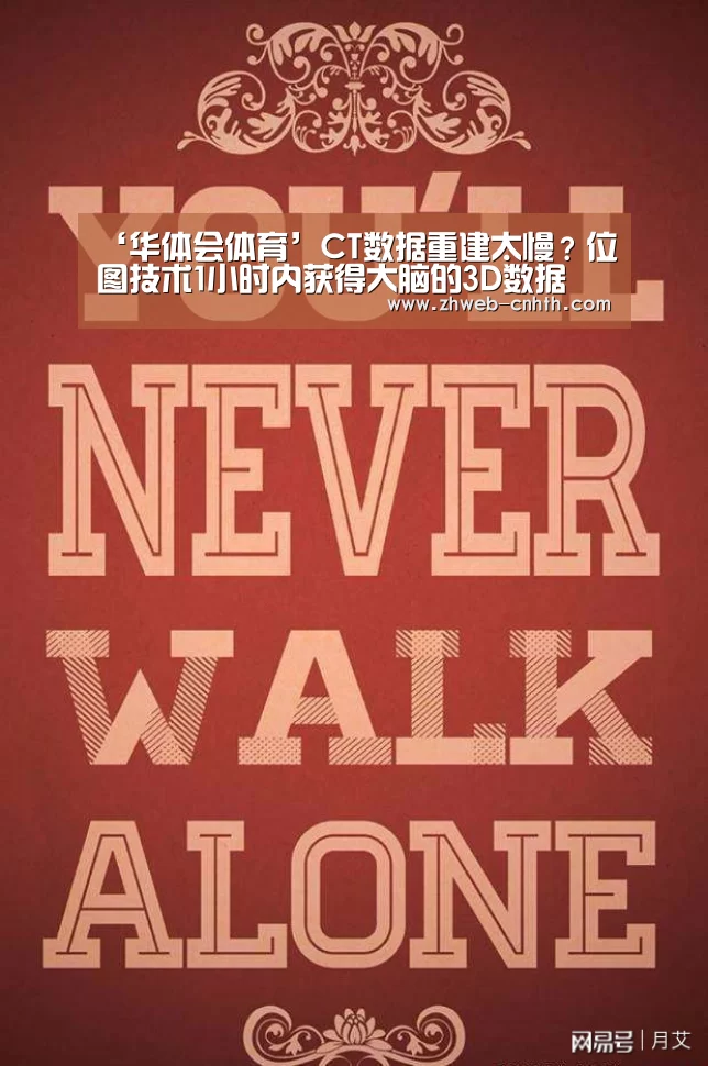 ‘华体会体育’CT数据重建太慢?位图技术1小时内获得大脑的3D数据(图3) 华体会体育
