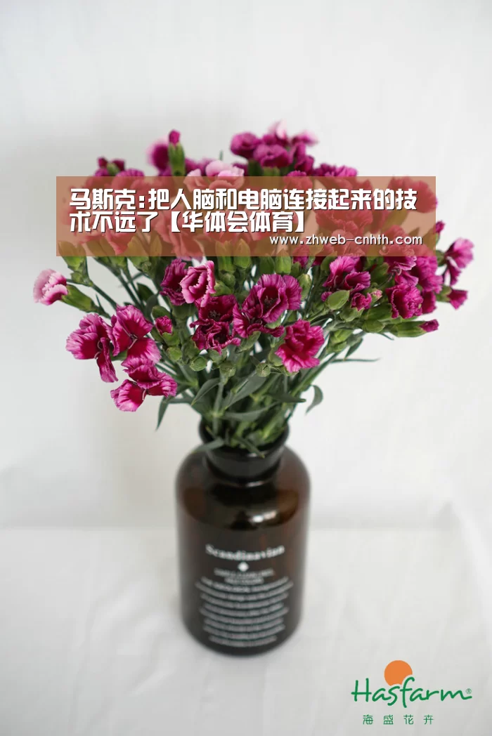 华体会体育