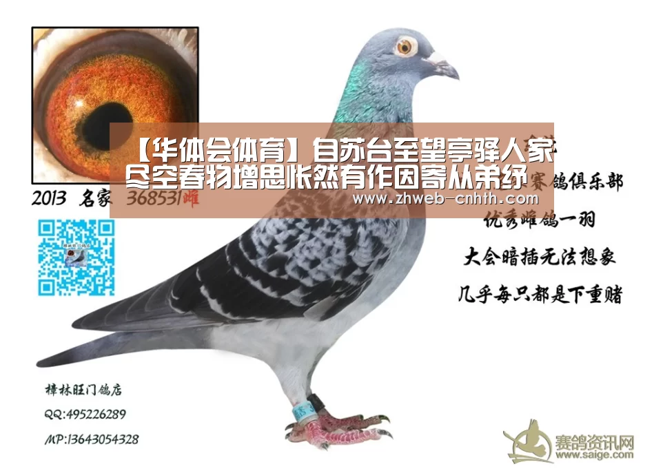 华体会体育